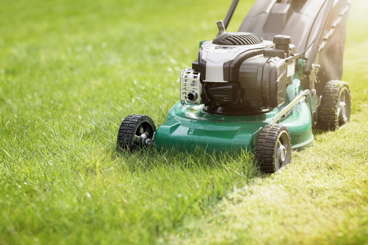 A lawn mower cutting overgrown grass into a neat line